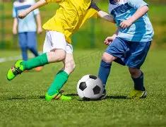 上海海港勇,夺中超冠军,IM电竞网页版app,IM电竞网页版下载,IM电竞网页版官网,IM电竞网页版登录,IM电竞网页版app