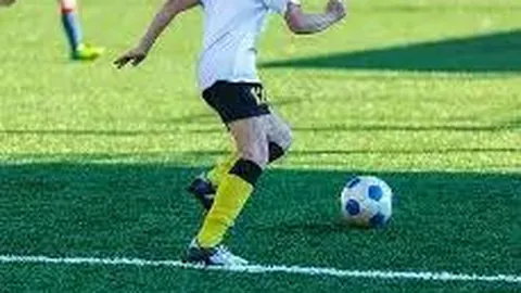 IM电竞网页版app 资讯 120342 yfc