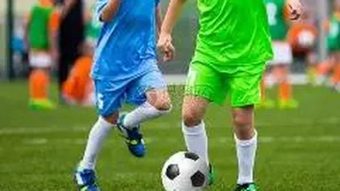 IM电竞网页版app 产品 115245 wf8