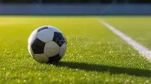 IM电竞网页版app 资讯 115554 28s