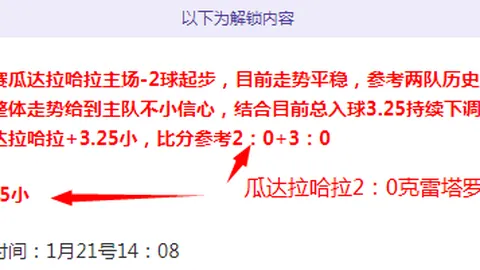 【昨日激战告捷！深度解析：东南墨尔本凤凰VS悉尼国王巅峰对决】